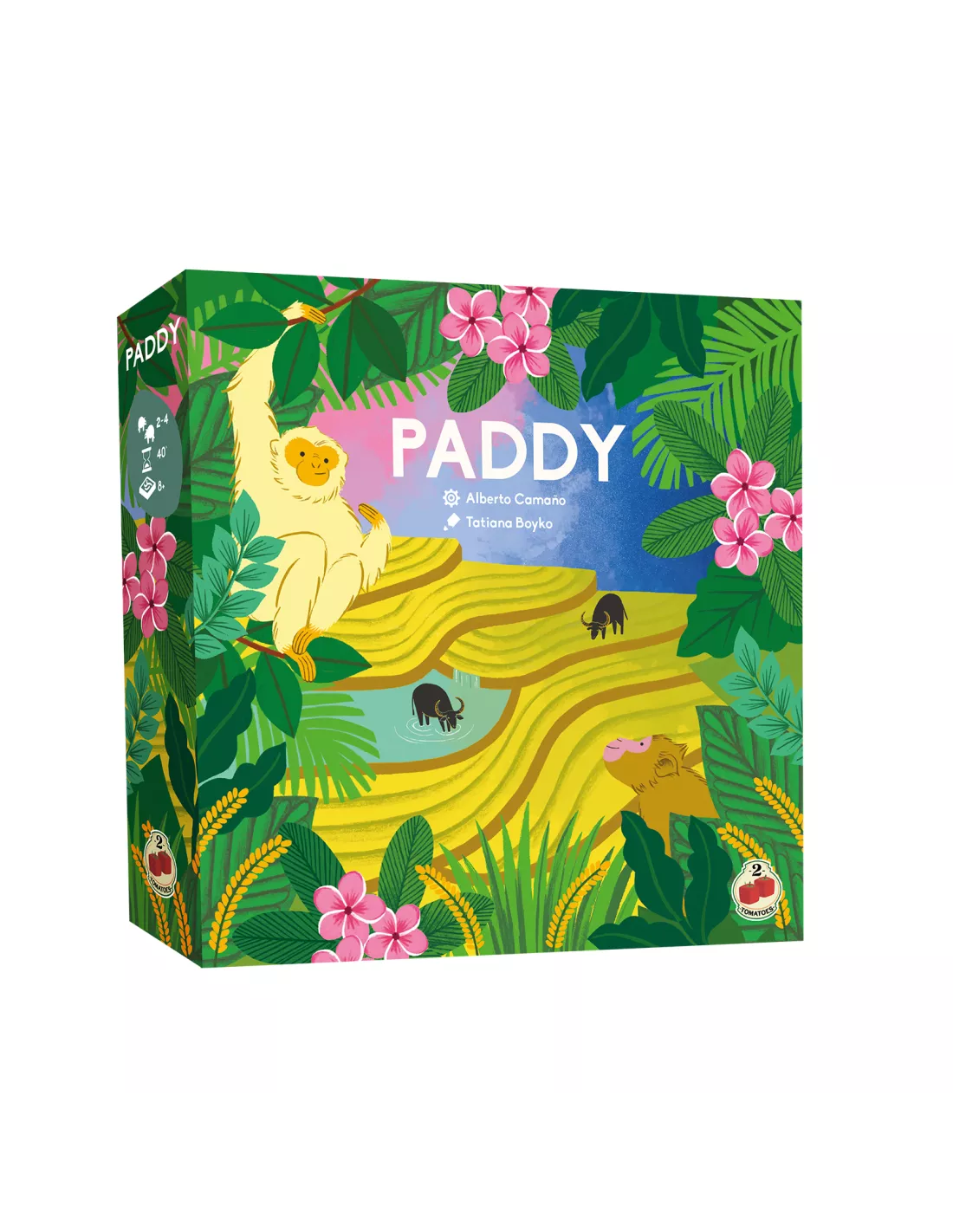 PADDY