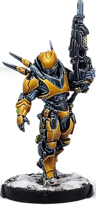 Shang Ji Invincibles - Infinity