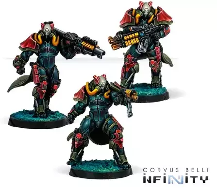 Rodoks, Armed Imposition Detachment - Infinity
